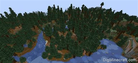 mega taiga biome|old growth spruce taiga.